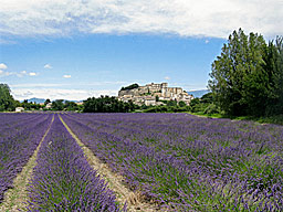 The village of Grignan